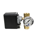 DAB-PSKIT12 - PUMP PRESSURE SWITCH KIT WITH PLUG AND PLAY LEADS 12 BAR