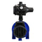 BIA-INOX45S2MPCX - PUMP SURFACE MOUNTED CLEAN WATER 50L MIN